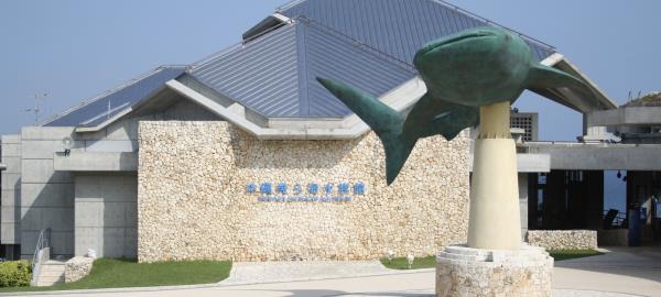 介绍一款“闲逸游戏有辅助工具吗!专业师傅带你一起了解(确实有挂)