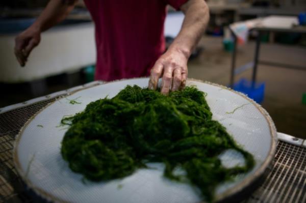 推荐一款“中至赣牌圈辅助器!详细分享装挂步骤
