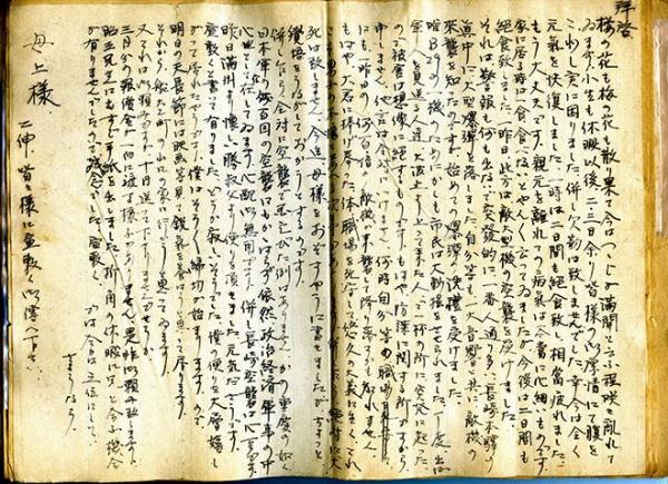 科普知识“财神十三张小程序辅助”(详细透视教程)-知乎