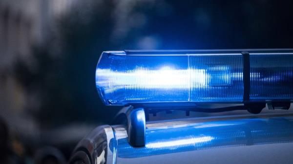 密歇根州警方称，被控肢解妻子的男子在车内被警方击毙