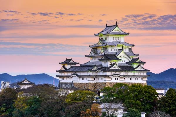 威尼斯双年展的韩国馆将围绕气味、记忆和情感展开