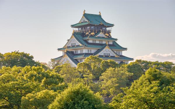 iStock-1286831870.jpg