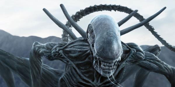 The Xenomorph from Alien: Covenant. 