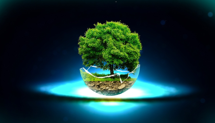 暗能量调查的最终超新星结果为宇宙膨胀提供了独特的见解