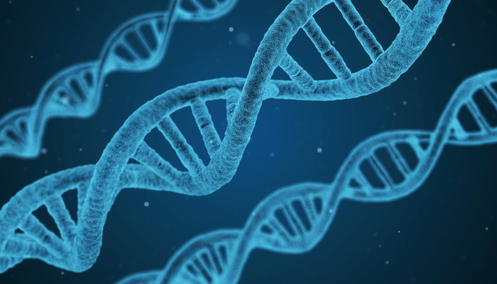 快速疾病诊断：生物工程突破将DNA检测灵敏度提高100倍