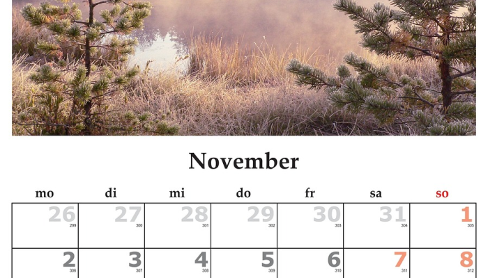 今天的每日运势：2023年11月5日