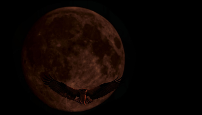 SpaceX公司的猛禽发动机在美国宇航局阿尔忒弥斯3号月球着陆器的测试中表现出色