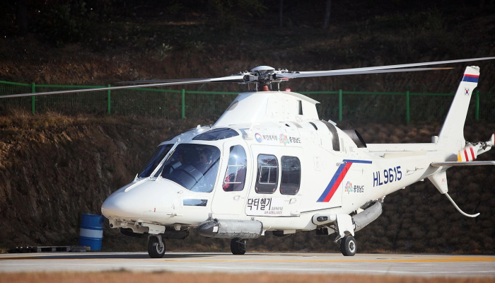 一架小型飞机在巴黎郊区紧急降落