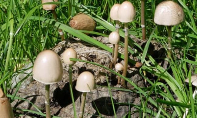 Whitelock设定了新西兰准备交付的标准