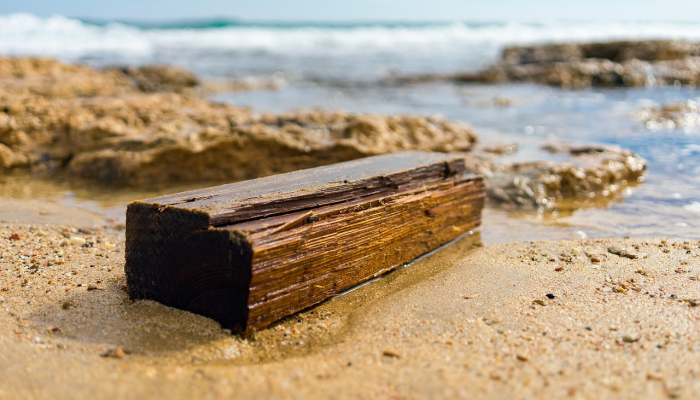 密歇根州共和党人将对卡拉莫主席的免职进行投票，因为她承诺不接受结果