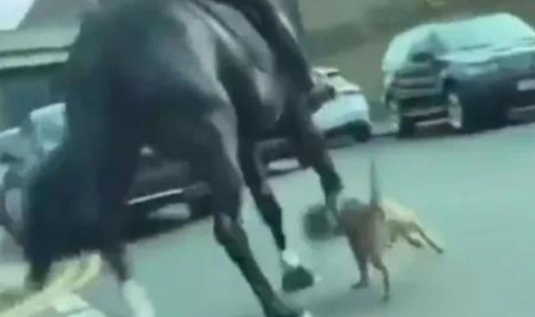 万能开挂辅助“微乐麻将怎么样才能一直赢”详细开挂玩法 万能开挂辅助“微乐麻将怎么样才能一直赢”详细开挂玩法