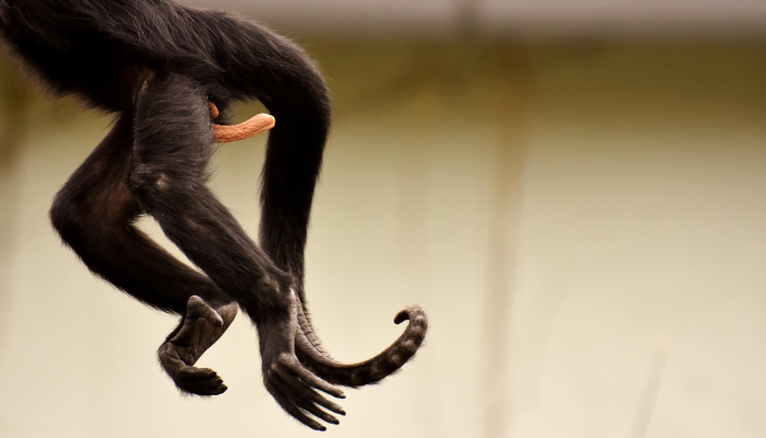 玩家必看教程“欢乐五张辅助”开挂(透视)辅助教程 玩家必看教程“欢乐五张辅助”开挂(透视)辅助教程