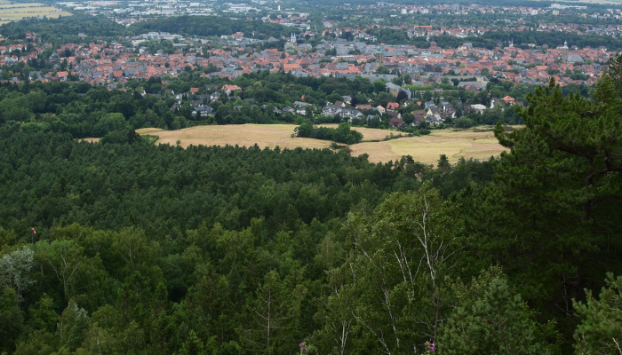 随着哈瓦拉学校关闭,以色列定居者袭击了巴勒斯坦城镇 随着哈瓦拉学校关闭,以色列定居者袭击了巴勒斯坦城镇