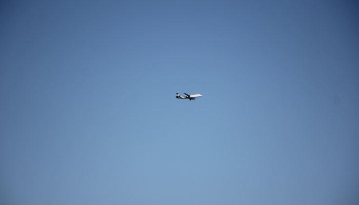苹果航空标签帮助达美航空乘客找到丢失的头部 苹果航空标签帮助达美航空乘客找到丢失的头部