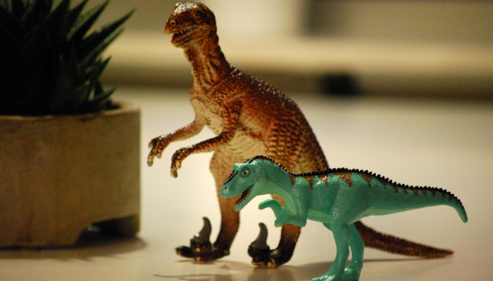 一瞥灭绝:科学家们发现了恐龙时代末期的非凡化石 一瞥灭绝:科学家们发现了恐龙时代末期的非凡化石