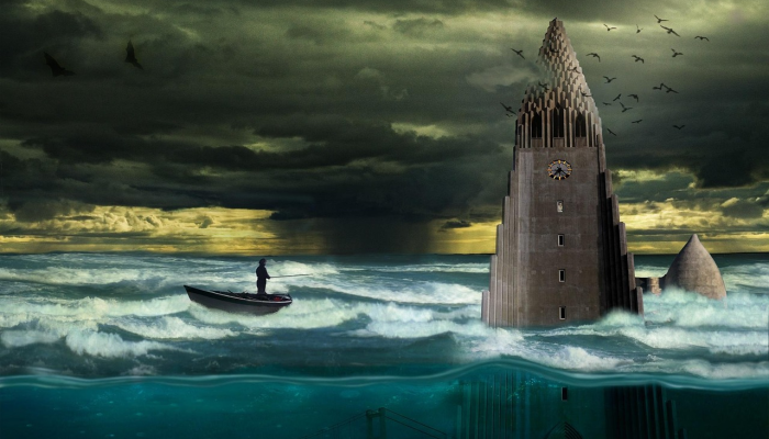 成千上万的“不寻常的游客”在加利福尼亚海岸附近的水域巡游看一看