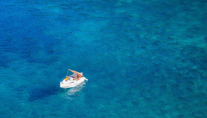 总干事说，从1月到10月，MMEA在海上拯救了1365人的生命