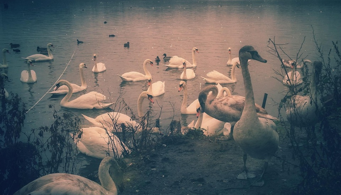 总干事说，从1月到10月，MMEA在海上拯救了1365人的生命