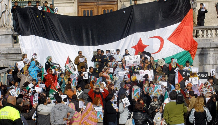 阿拉伯世界抗议以色列对加沙的行动 阿拉伯世界抗议以色列对加沙的行动