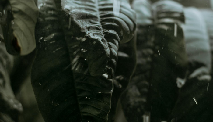 天气追踪:尽管英国下了倾盆大雨,但美国宇航局证实7月是世界上最热的7月 天气追踪:尽管英国下了倾盆大雨,但美国宇航局证实7月是世界上最热的7月