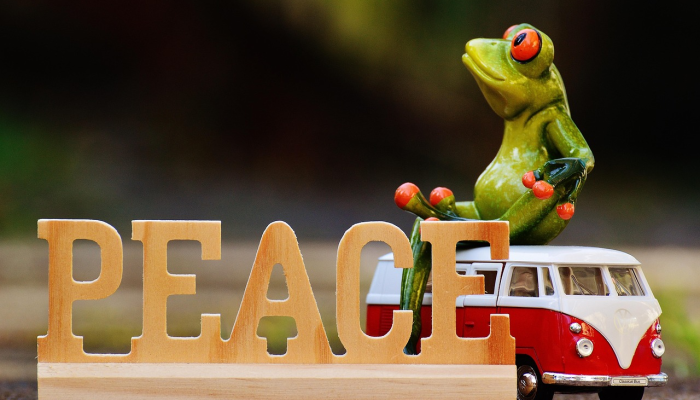 沃尔玛和亚马逊都采取了顾客友好的举措 沃尔玛和亚马逊都采取了顾客友好的举措