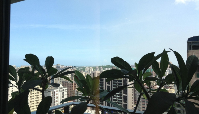 塞浦路斯,色情产业的高科技中心 塞浦路斯,色情产业的高科技中心