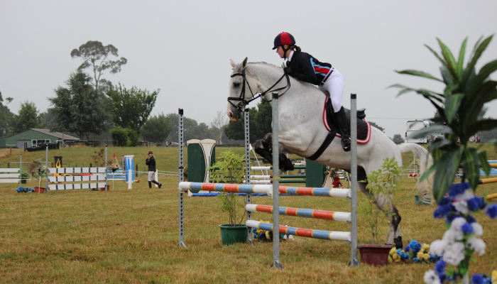 救援人员说，骑手被马绊倒，在科罗拉多山上可怕地摔倒