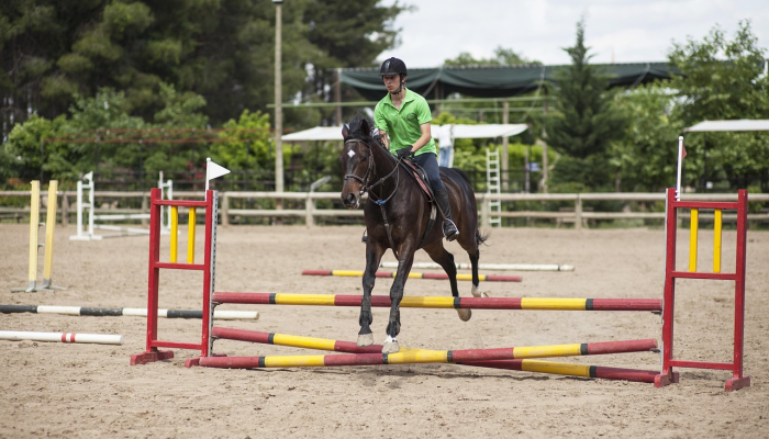 救援人员说，骑手被马绊倒，在科罗拉多山上可怕地摔倒