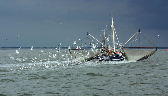 俄亥俄州东巴勒斯坦,火车脱轨:视频显示“恶心”的水 俄亥俄州东巴勒斯坦,火车脱轨:视频显示“恶心”的水