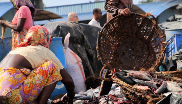 罗纳尔多打破沙特职业联赛进球纪录 罗纳尔多打破沙特职业联赛进球纪录