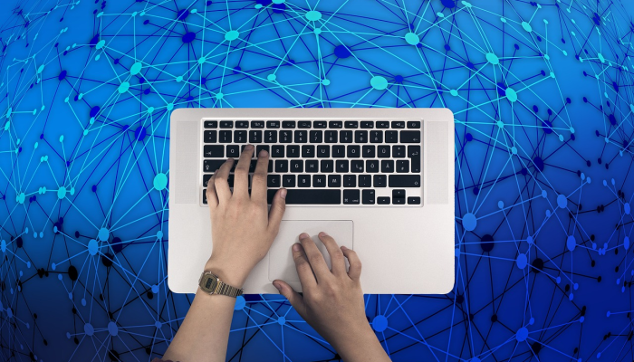 数字交易员想要钓鱼 数字交易员想要钓鱼