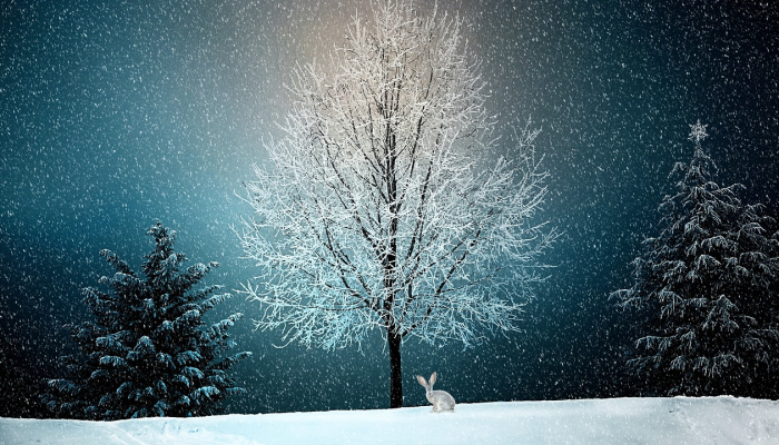 寒流中，汉拿山迎来了今年的第一场雪