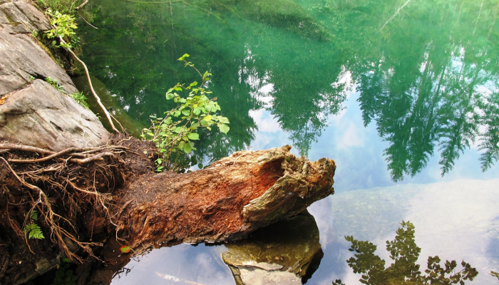 帕利塞德斯塔霍湖的目击者讲述了帮助雪崩救援的经历