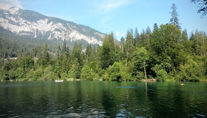 帕利塞德斯塔霍湖的目击者讲述了帮助雪崩救援的经历