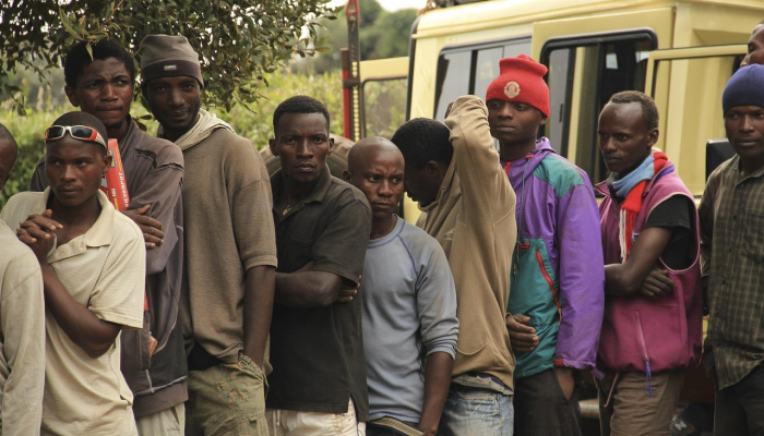 德国总统请求原谅在坦桑尼亚的殖民罪行