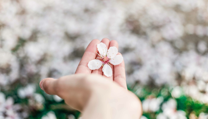 生双胞胎的几率：是什么增加了你的几率？