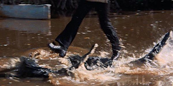 The crocodile run from Live and Let Die.