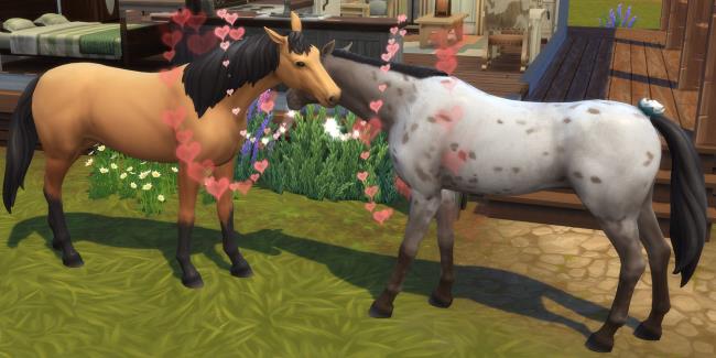 Two horses with hearts in The Sims 4 Horse Ranch