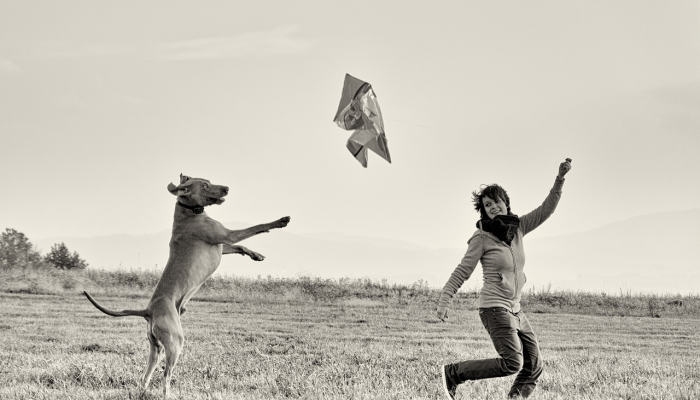 一个家庭放狗咬权力部门官员，用棍棒殴打他们，以解决悬而未决的账单