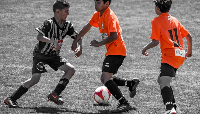 足球警察在欧联杯比赛发生冲突后逮捕了46人