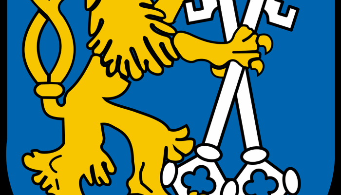 狮子队的邓克利准备在AFL的决胜战中发挥关键作用