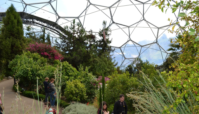 环境部修复草地120多万平方米