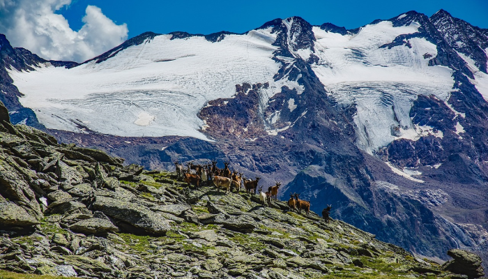 安华说，砂拉越在确保国家政治稳定方面做出了巨大贡献