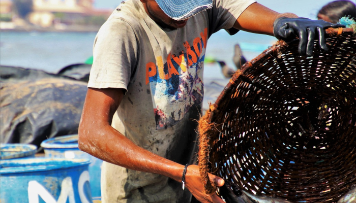 国际刑事法院因政治干预暂停斯里兰卡板球
