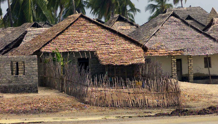 尼日利亚:圣战分子袭击偏远村庄,造成17人死亡 尼日利亚:圣战分子袭击偏远村庄,造成17人死亡