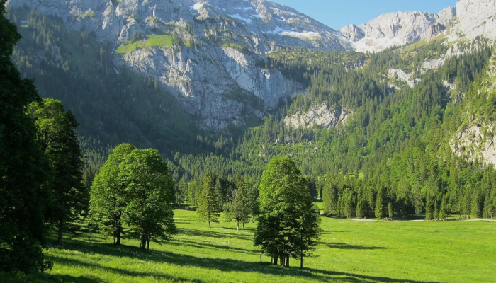 巴勒斯坦支持者袭击美国领事馆和松树沟