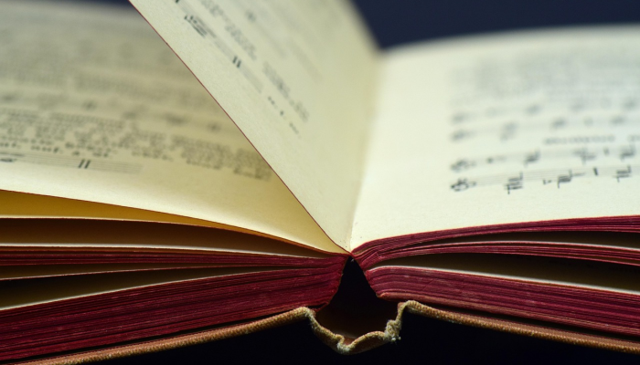 报纸上说——9月29日