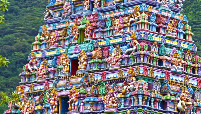 《虚构》和《飞越加州》将在未来世界上映 《虚构》和《飞越加州》将在未来世界上映