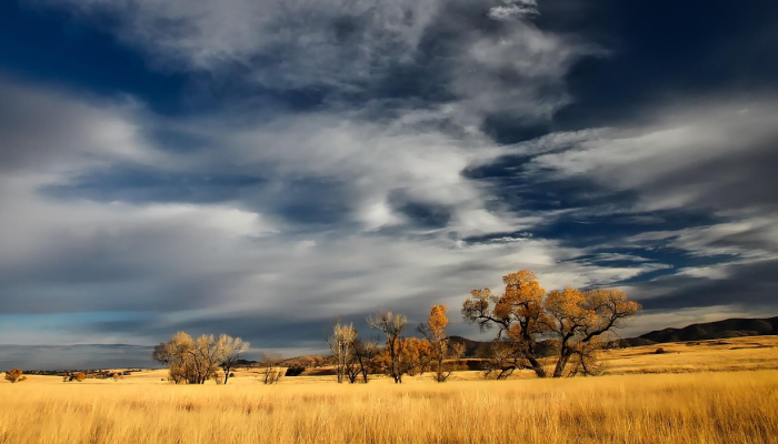 新西兰遭遇“本世纪”最严重自然灾害,数千人失去联系 新西兰遭遇“本世纪”最严重自然灾害,数千人失去联系