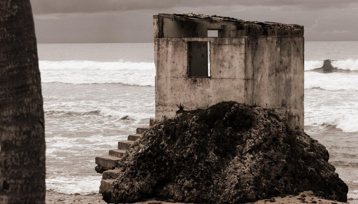 尼日利亚东北部地雷爆炸致10人死亡 尼日利亚东北部地雷爆炸致10人死亡